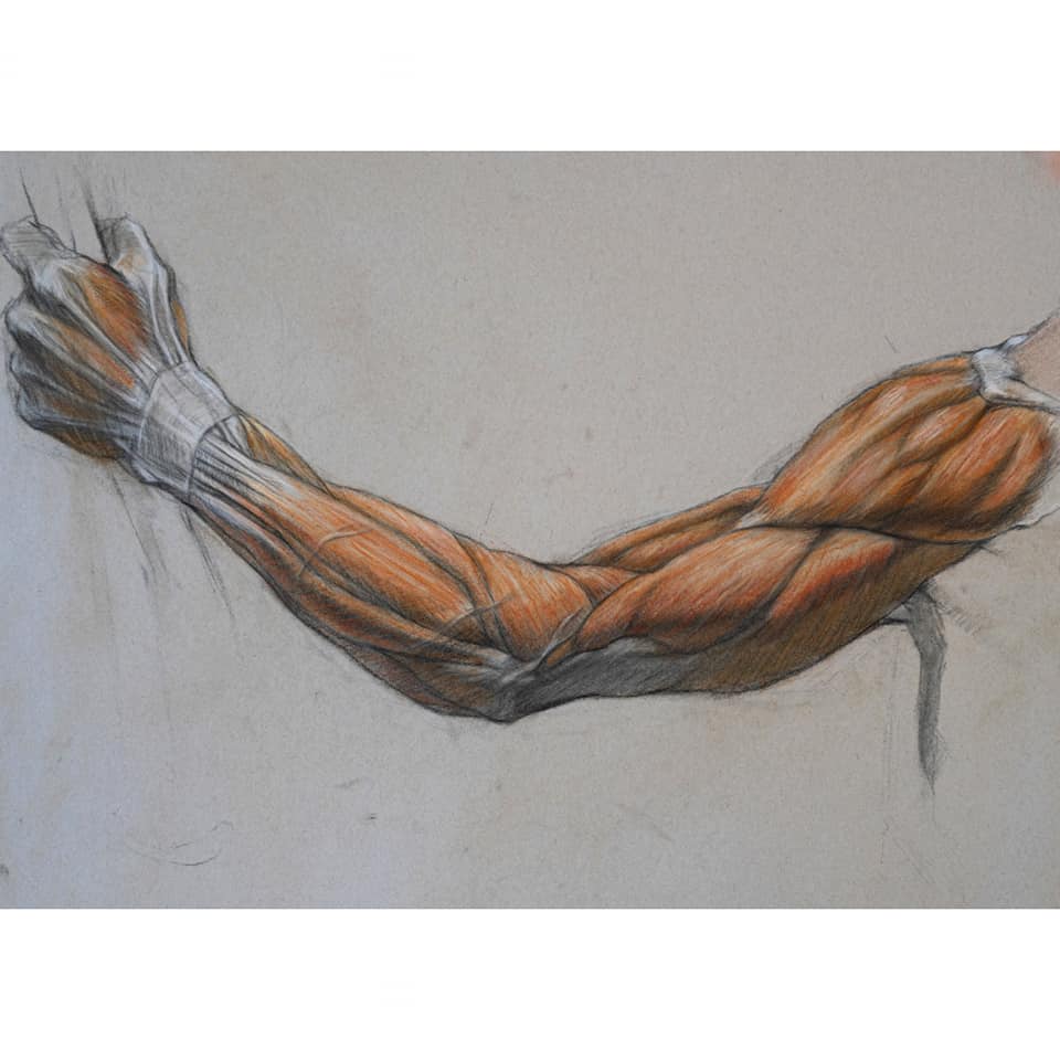 Drawing