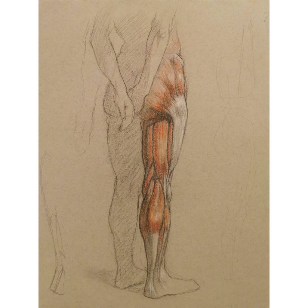 Drawing