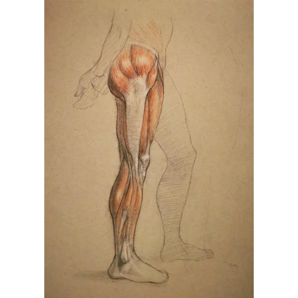 Drawing