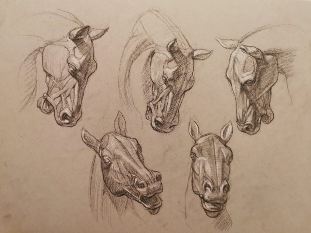 Drawing